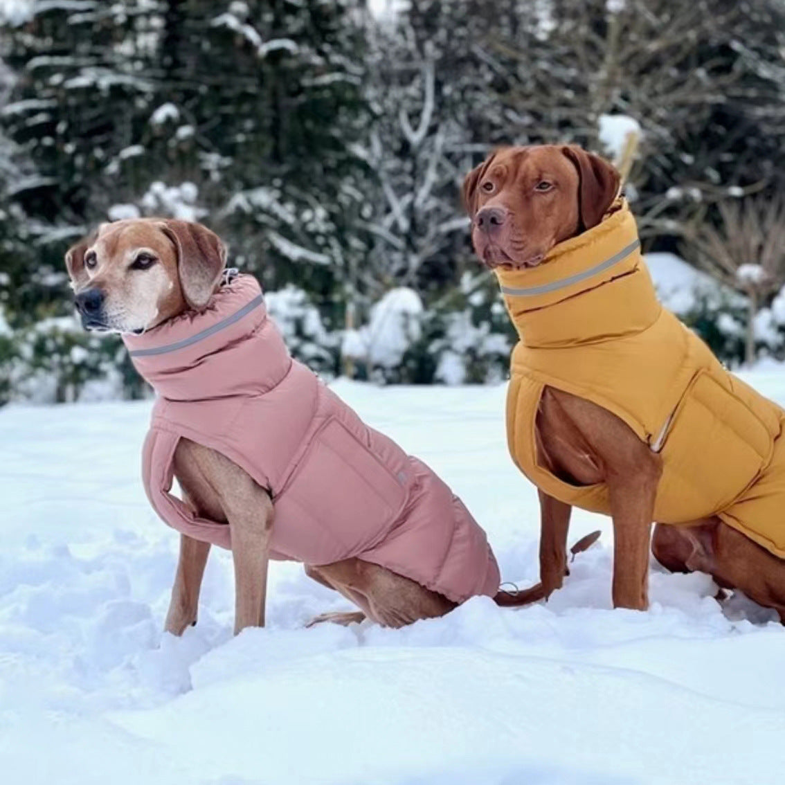 Dog clothing thickened warm waterproof windproof two leg coat pet vest cotton coat