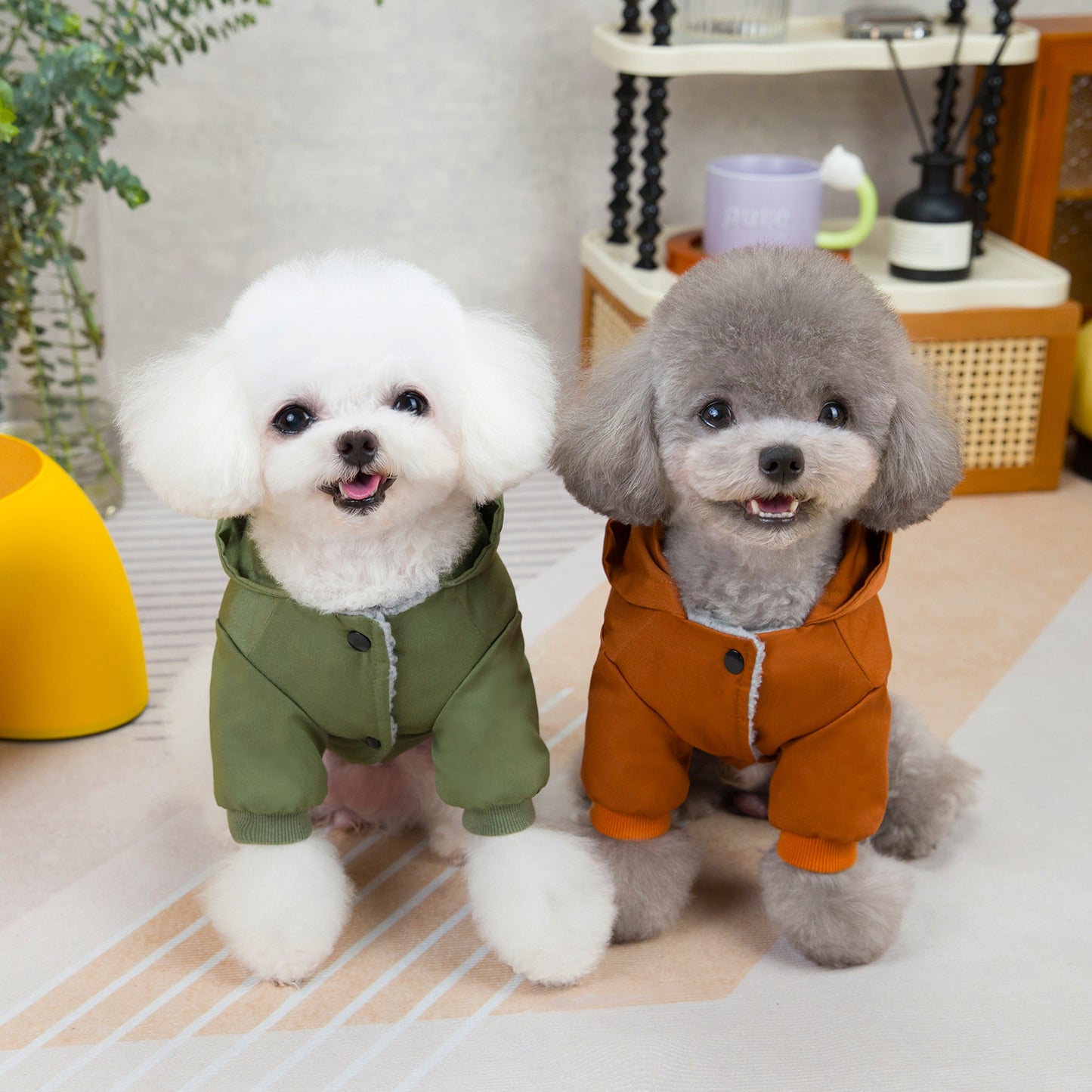 Pet clothes sweaters clothing for dogs teddy cats cool style two legged cotton clothes